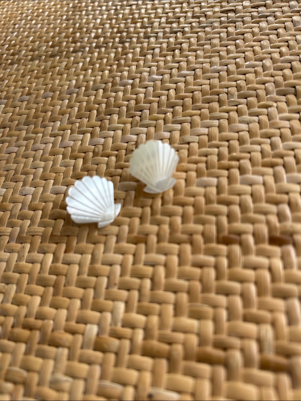 Shell Shaped Stud Earrings - White Mother of Pearl Look